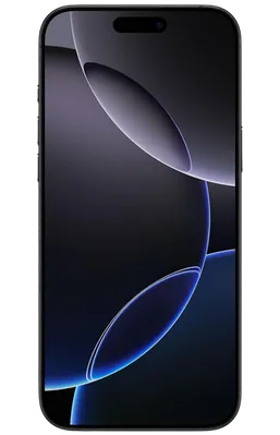 Apple iPhone 16 Pro Max 256GB Schwarz Refurbished