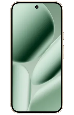 Google Pixel 10 Pro XL 256GB Grün