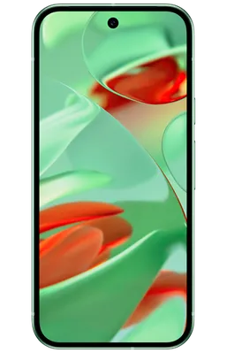 Google Pixel 9 256GB Grün