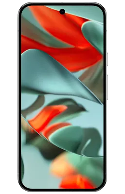 Google Pixel 9 Pro XL 256GB Grau