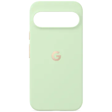 Google Pixelsnap Back Cover Grün Google Pixel 10 Pro XL