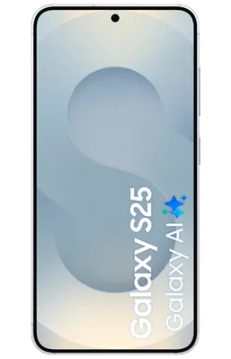 Samsung Galaxy S25 256GB S931 Silber Enterprise Edition