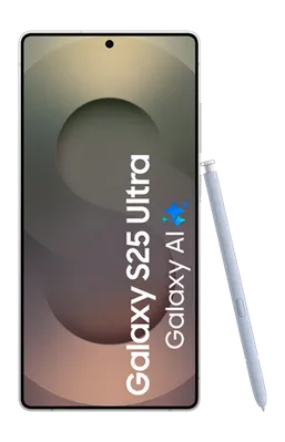 Samsung Galaxy S25 Ultra 256GB S938 Silber