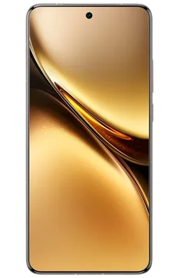 vivo X200 Pro 16GB/512GB Grau