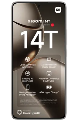 Xiaomi 14T 12GB/256GB Grau